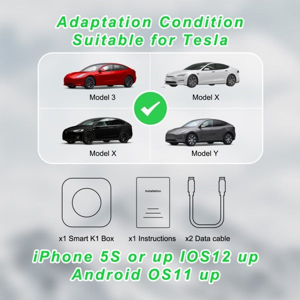 Wireless Carplay for Tesla Model 3/Y