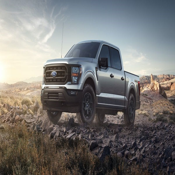 ford f 150 : The Ultimate Truck for Every Occasion